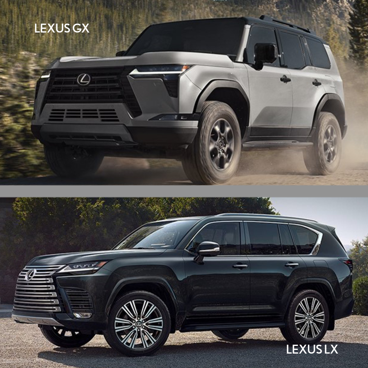 Lexus GX vs LX