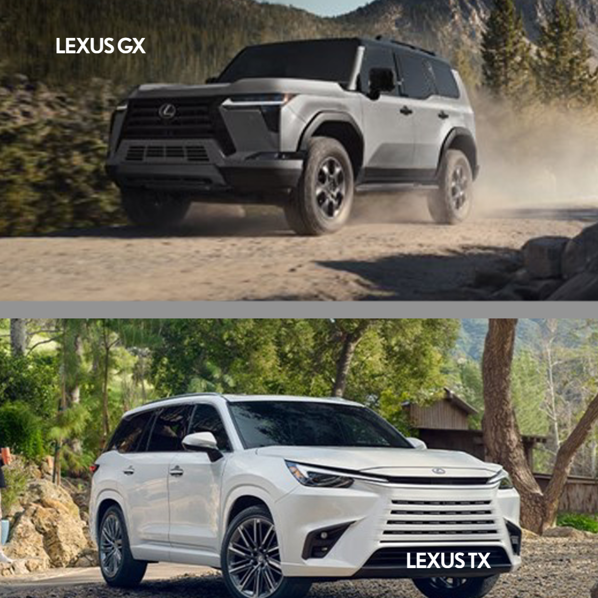 Lexus TX vs GX