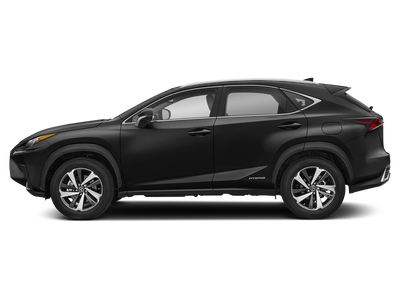 2021 Lexus NX 300h 300h