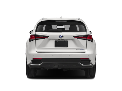 2021 Lexus NX 300h 300h