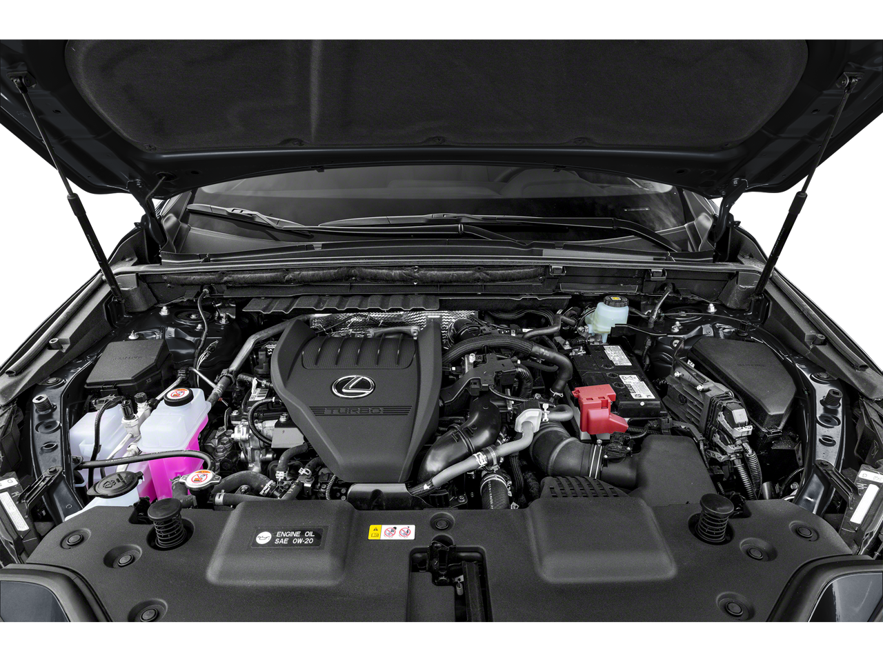 2023 Lexus NX 350 Base 350 Base