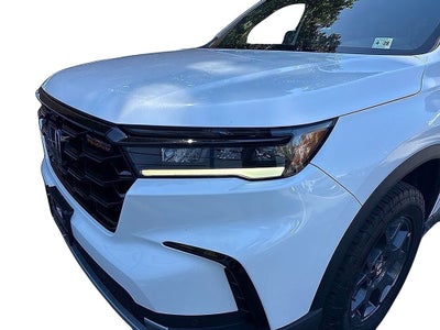 2023 Honda Pilot TrailSport