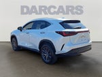 2024 Lexus NX 250 Base 250 Base
