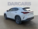 2024 Lexus NX 350 Base 350 Base AWD