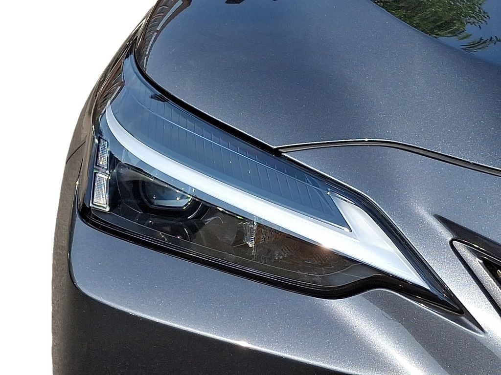 2024 Lexus NX 350 350 Base