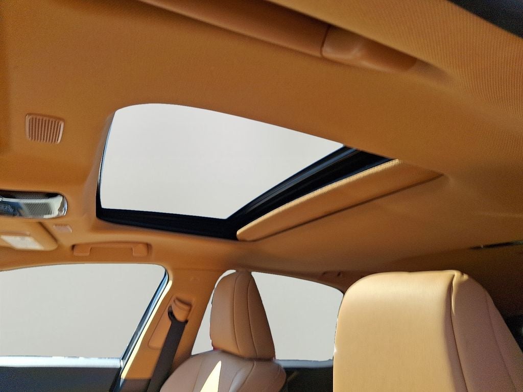 2025 Lexus NX 350 350 Base