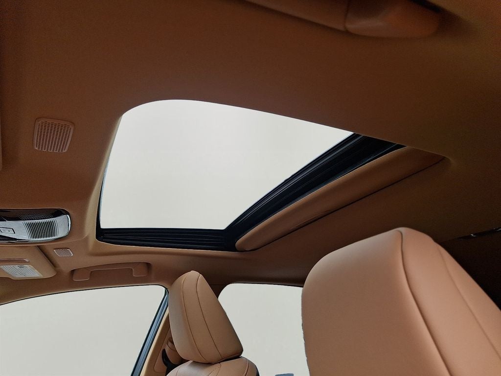 2023 Lexus NX 350 AWD