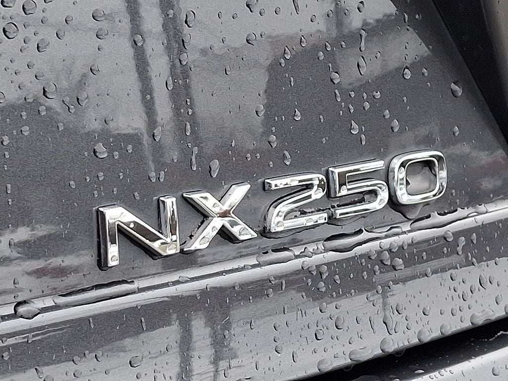 2023 Lexus NX 250 Premium 250 Premium
