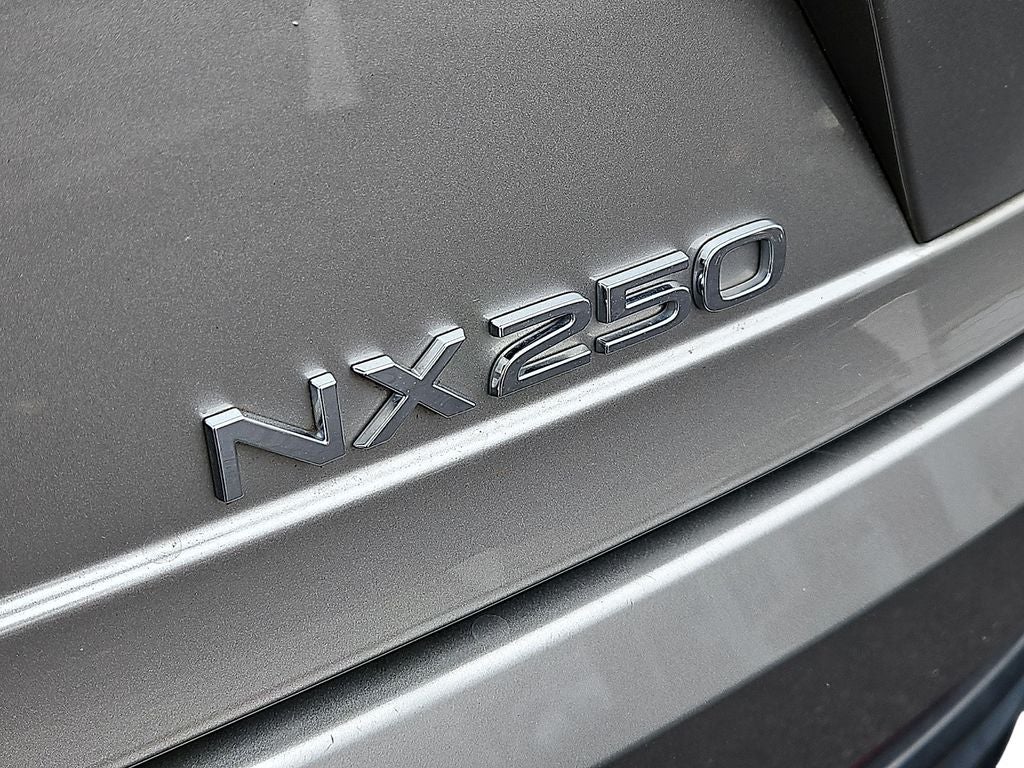 2024 Lexus NX 250 Premium 250 Premium