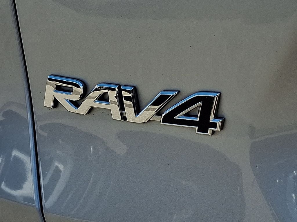 2019 Toyota RAV4 XLE Premium w/Premium Grade Weather Package