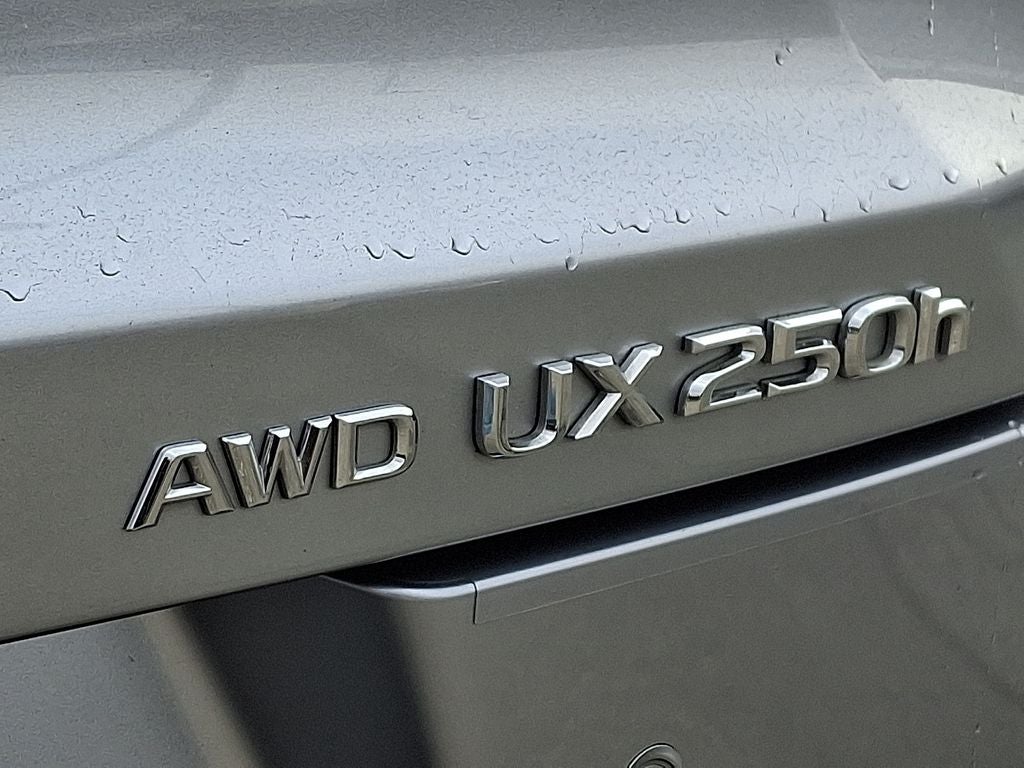 2024 Lexus UX 250h Premium 250h Premium