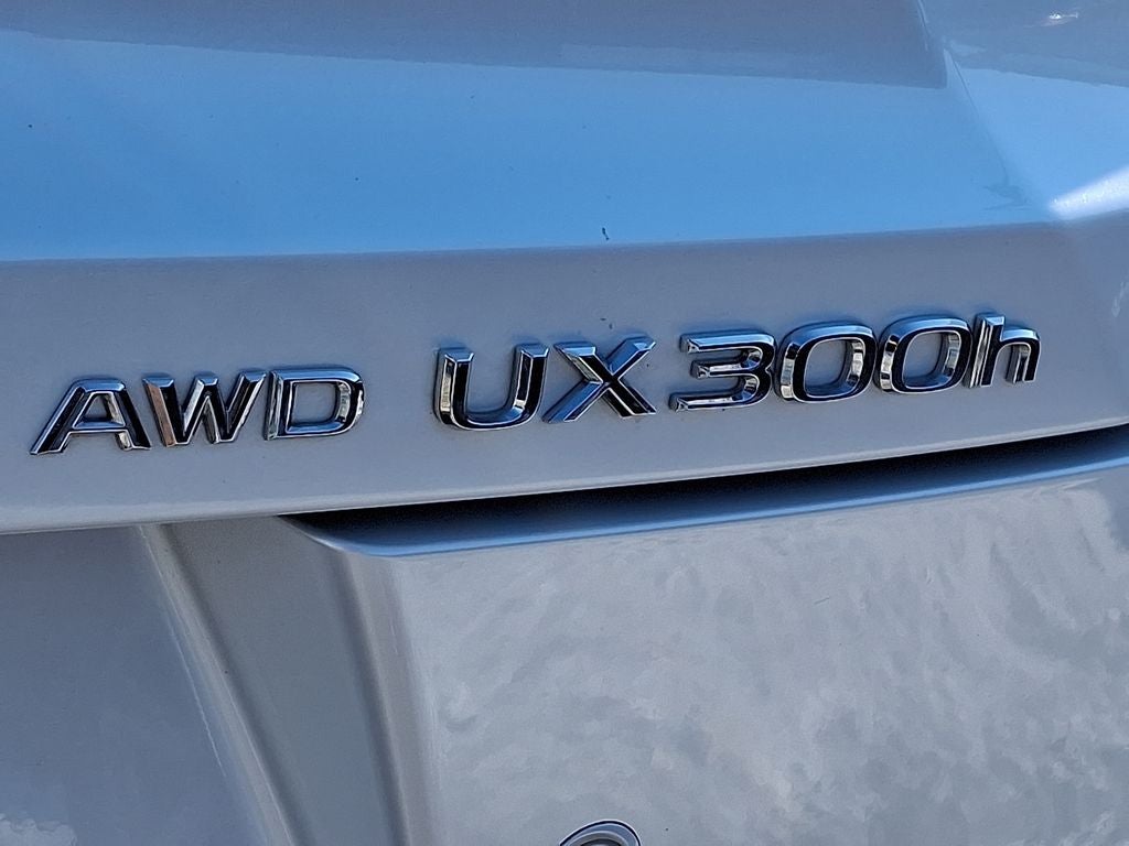 2025 Lexus UX 300h Premium PREMIUM AWD