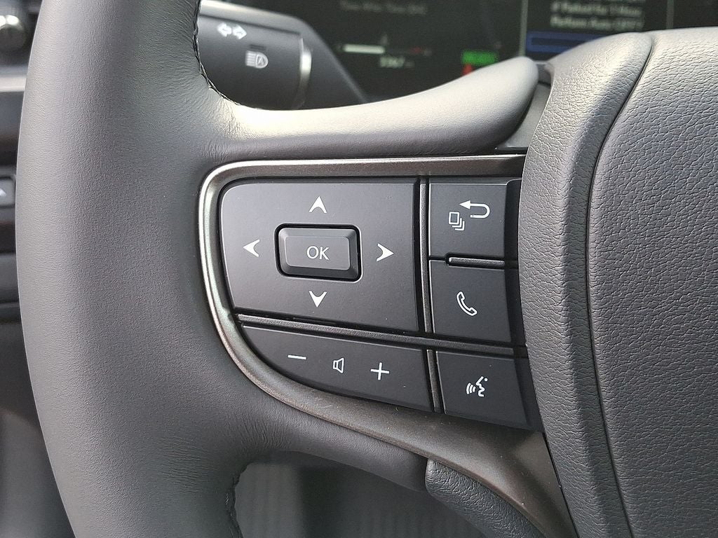 2025 Lexus UX 300h Premium 300h Premium