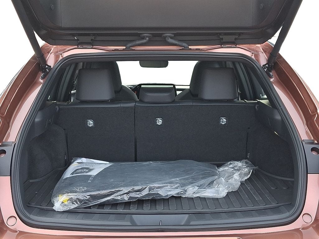 2025 Lexus UX 300h Premium 300h Premium