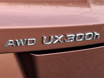 2025 Lexus UX 300h Premium 300h Premium