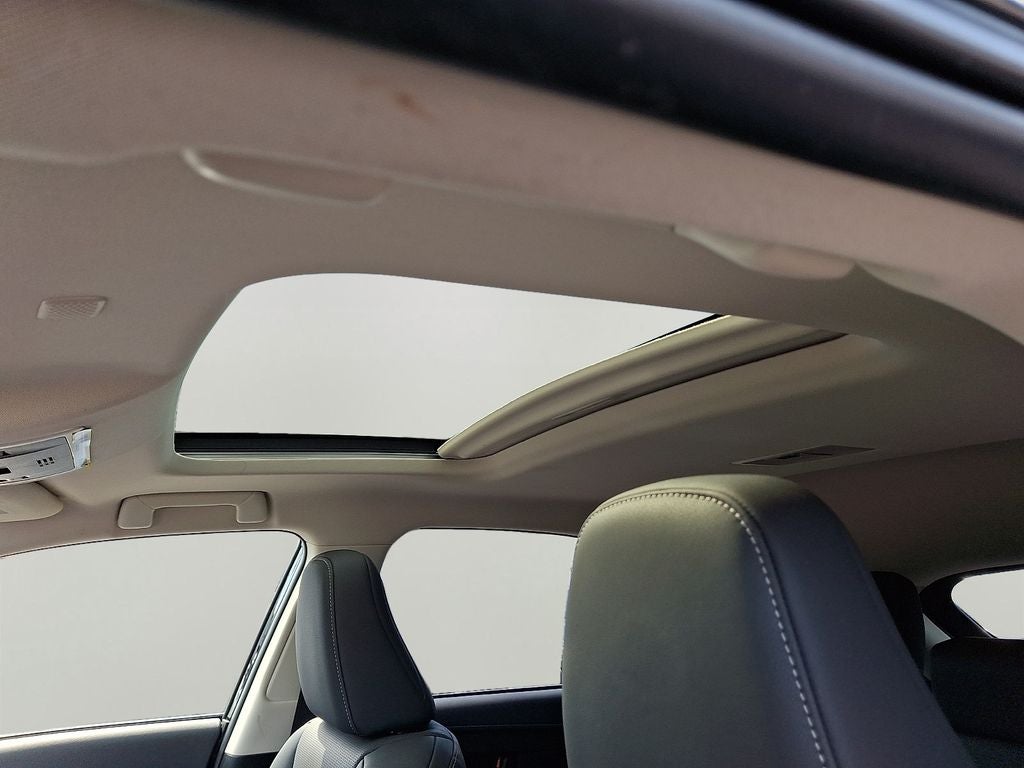 2021 Lexus NX 300h 300h AWD
